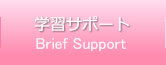wKT|[g-Brief Support-