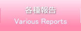 e-Various Reports-